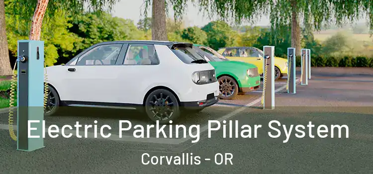 Electric Parking Pillar System Corvallis - OR